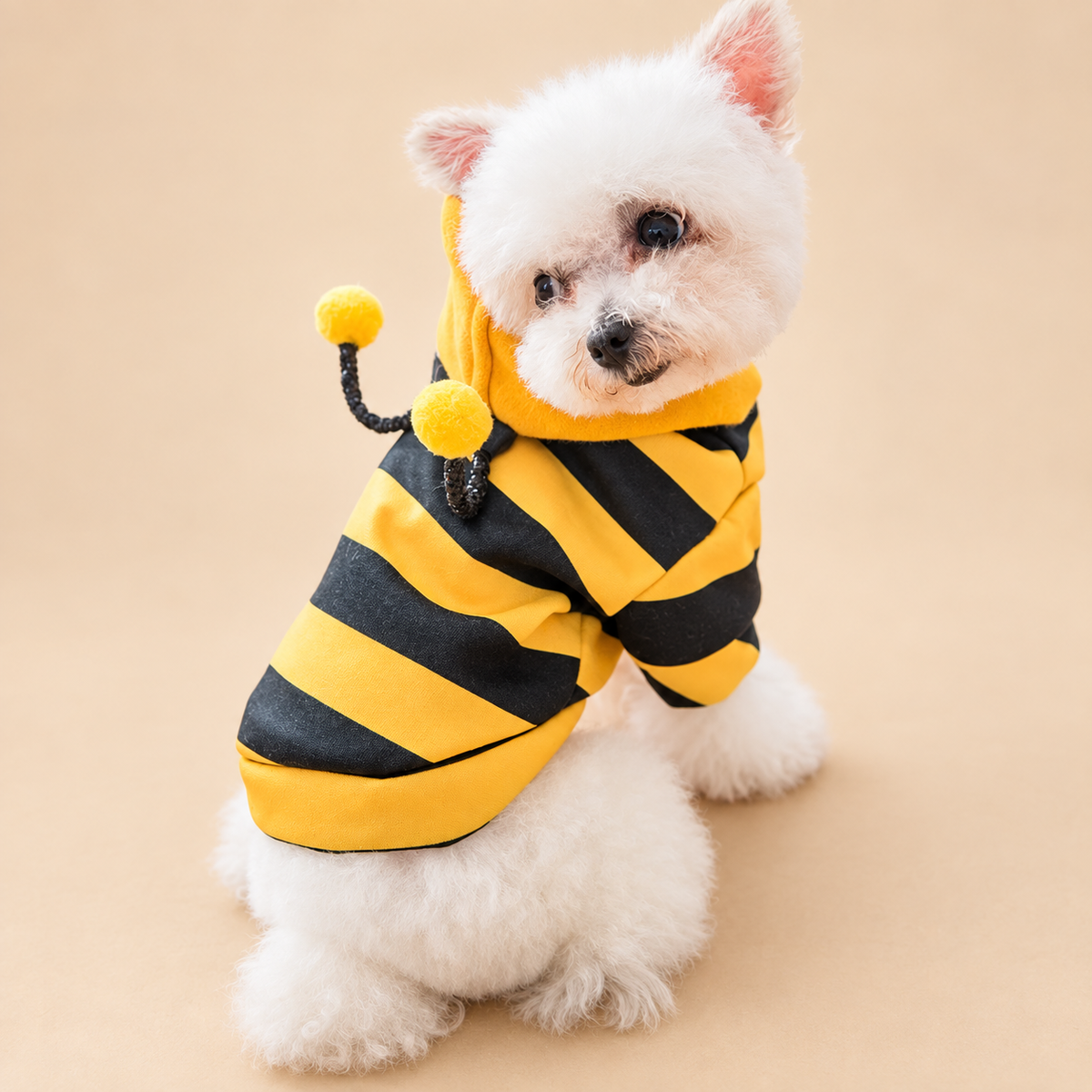 Small white dog wearing a yellow and black bee-style pet outfit
