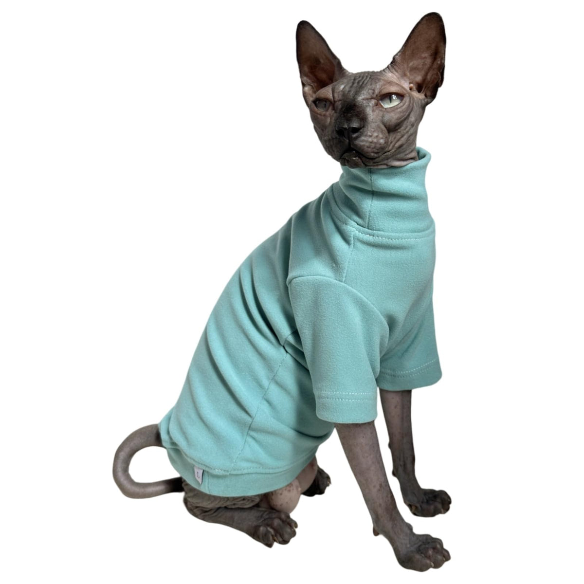 Sphynx Cats Solid Warm Fleece Shirt Cat Turtleneck Undershirt Thermal Hairless Cat Clothes for Sphynx Devon Cornish Cat Clothes and Small Kitten and Dogs (Haze Blue Small)