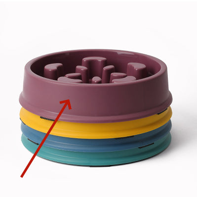 Colourful Slow-Feeding Pet Bowl