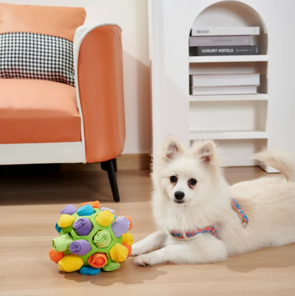 Pet Snuffle Puzzle Ball