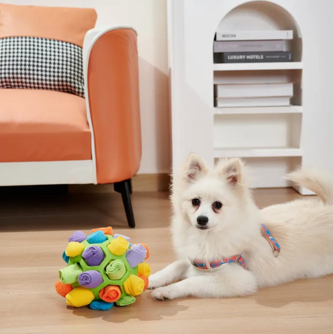 Pet Snuffle Puzzle Ball