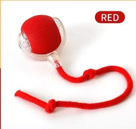 Pounce & Play Rechargeable  Ball