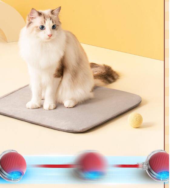 Pounce & Play Rechargeable  Ball