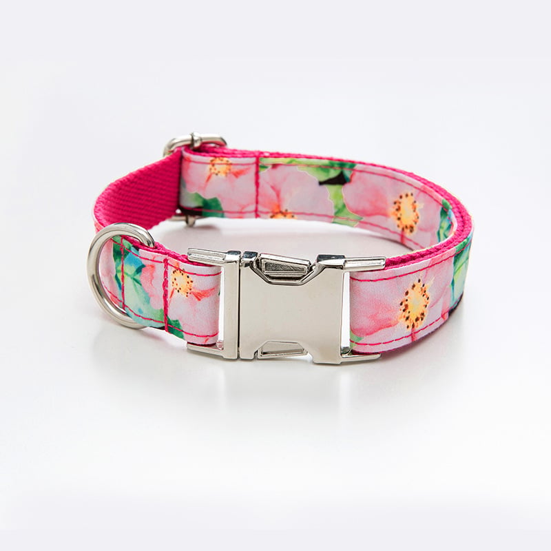 Dog Collar and Leash Pattern Set for Amazon