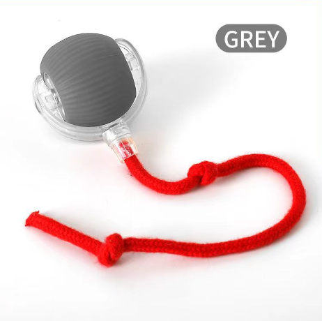 Pounce & Play Rechargeable  Ball