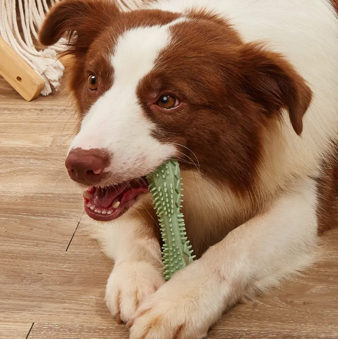 Chew Toys For Dog Teeth Cleaning