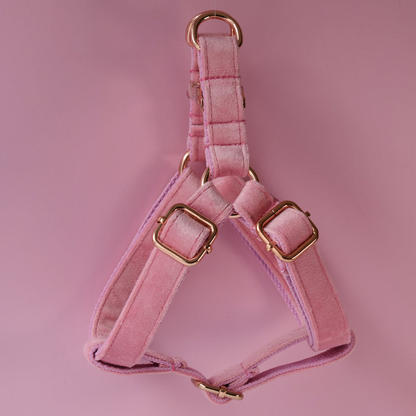 Flannel Dog Harness - Pet Supplies for Your Dog