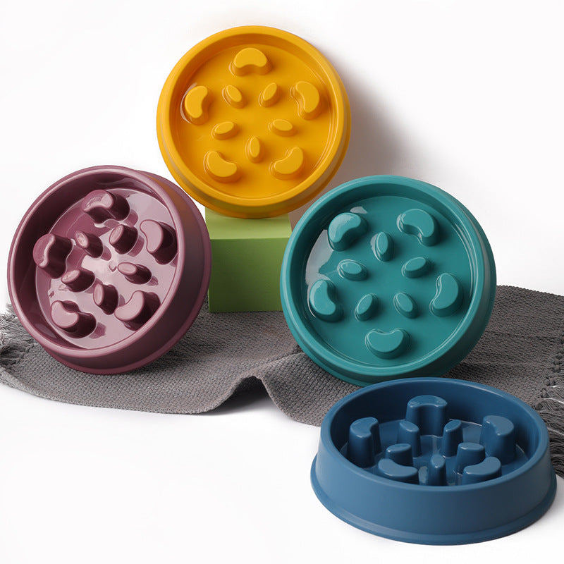 Colourful Slow-Feeding Pet Bowl