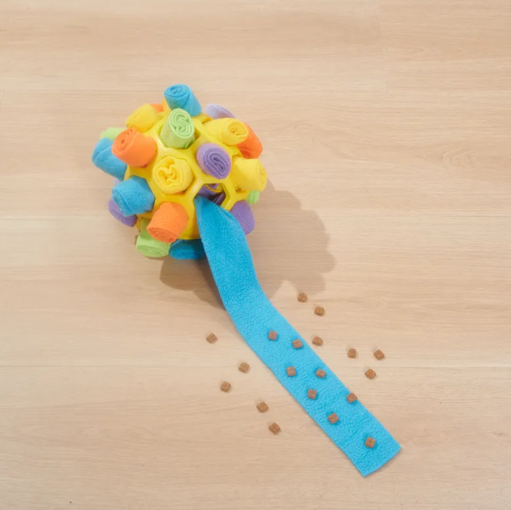 Pet Snuffle Puzzle Ball