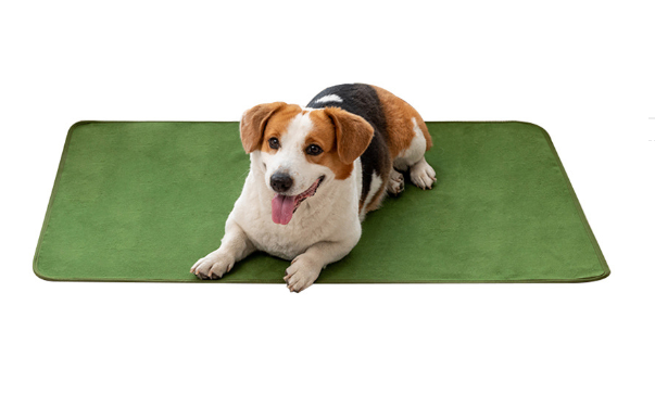 Pet Training Pads for Repeated Water Absorption