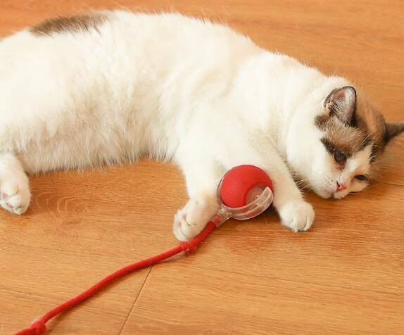 Pounce & Play Rechargeable  Ball