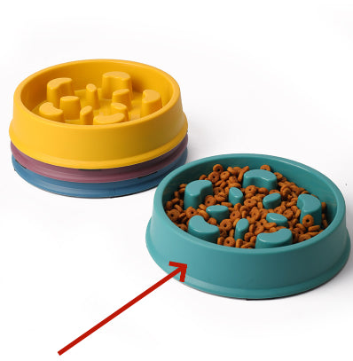 Colourful Slow-Feeding Pet Bowl