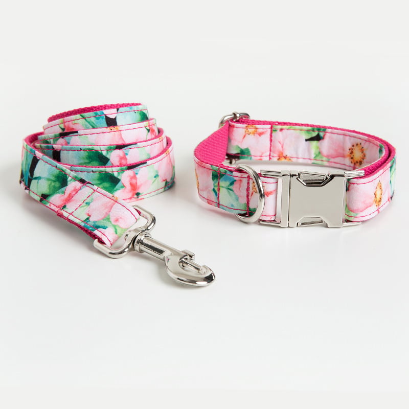 Dog Collar and Leash Pattern Set for Amazon