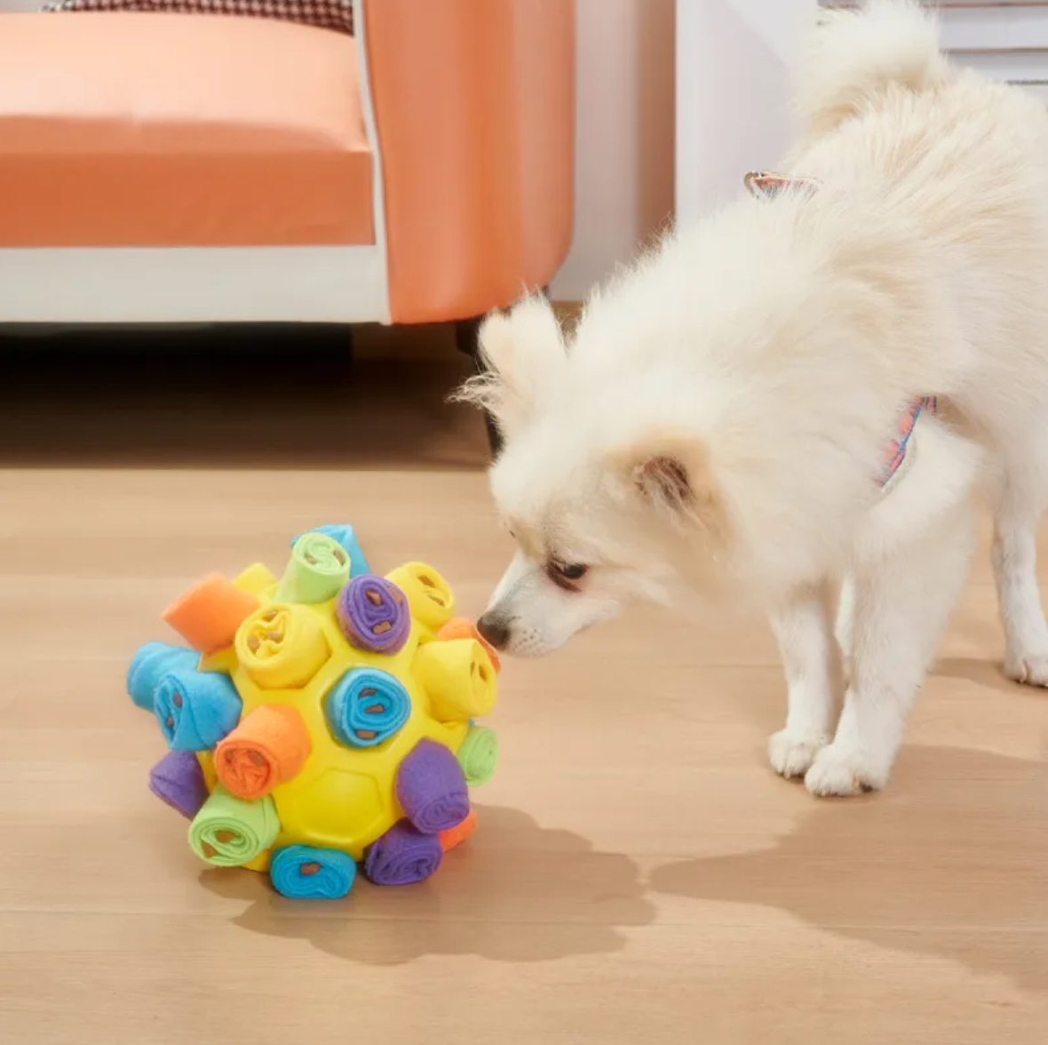 Pet Snuffle Puzzle Ball