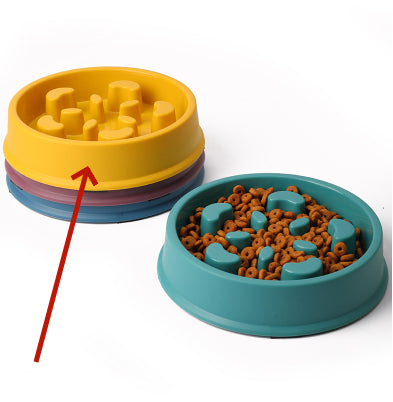 Colourful Slow-Feeding Pet Bowl