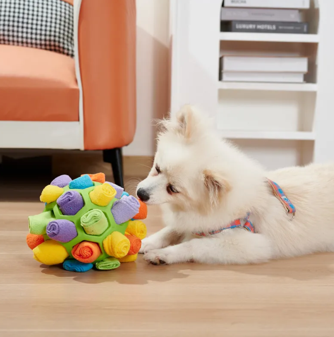 Pet Snuffle Puzzle Ball