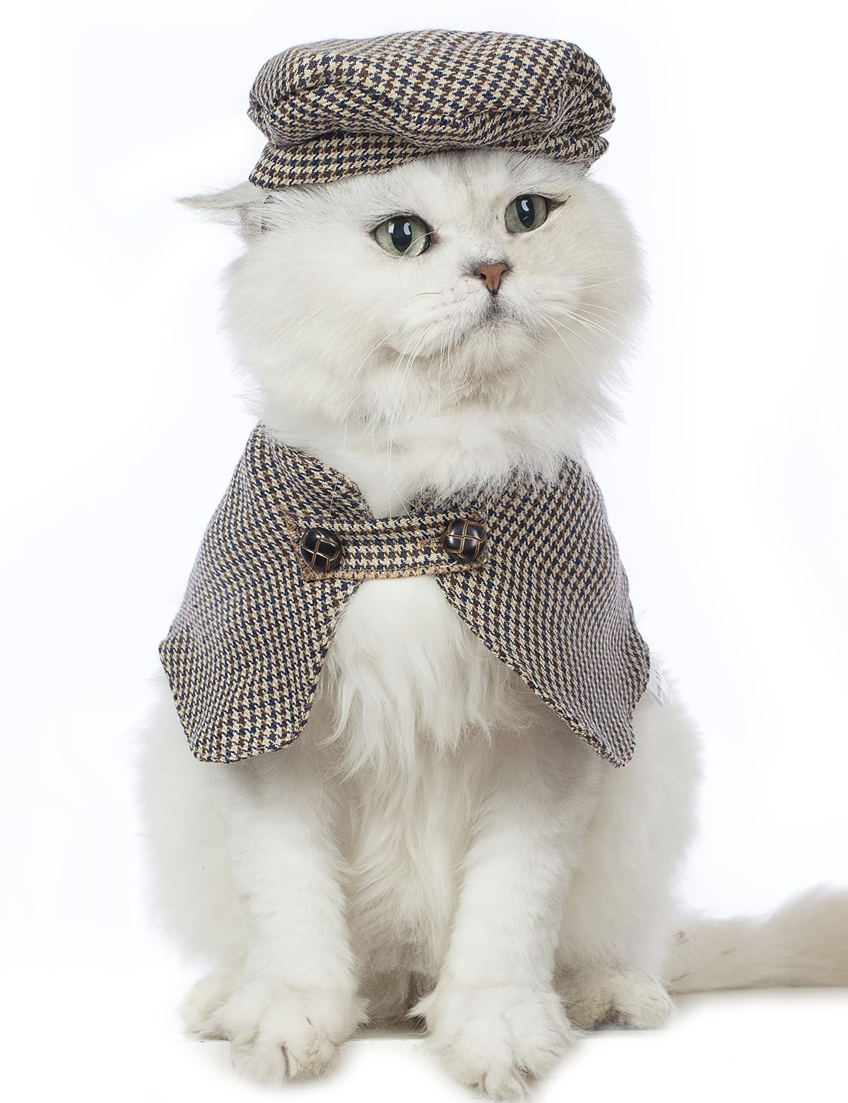 Impoosy Cat Halloween Costume