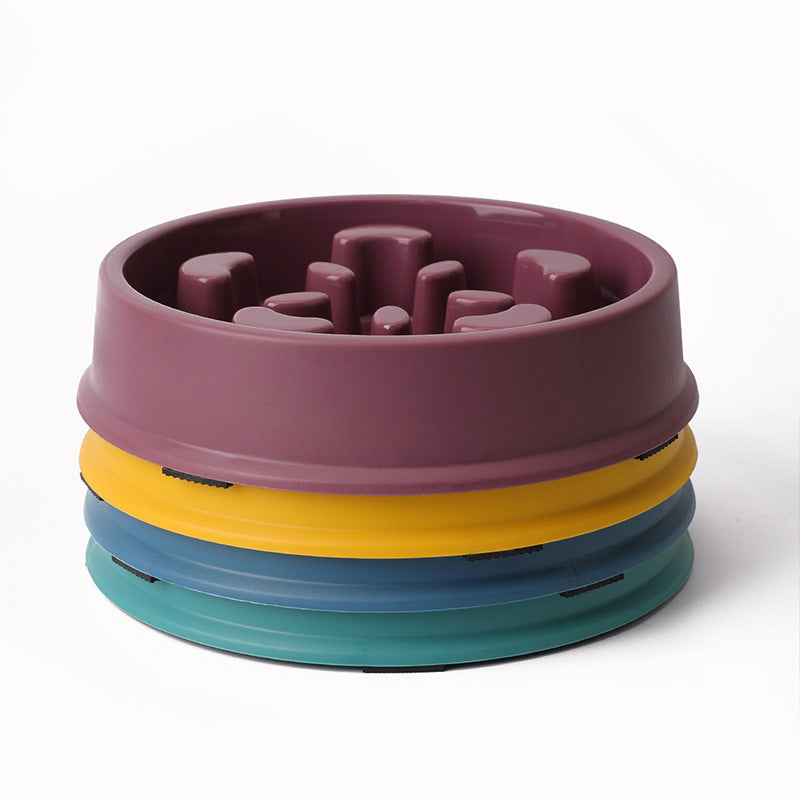 Colourful Slow-Feeding Pet Bowl