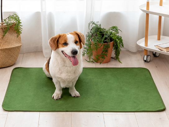 Pet Training Pads for Repeated Water Absorption
