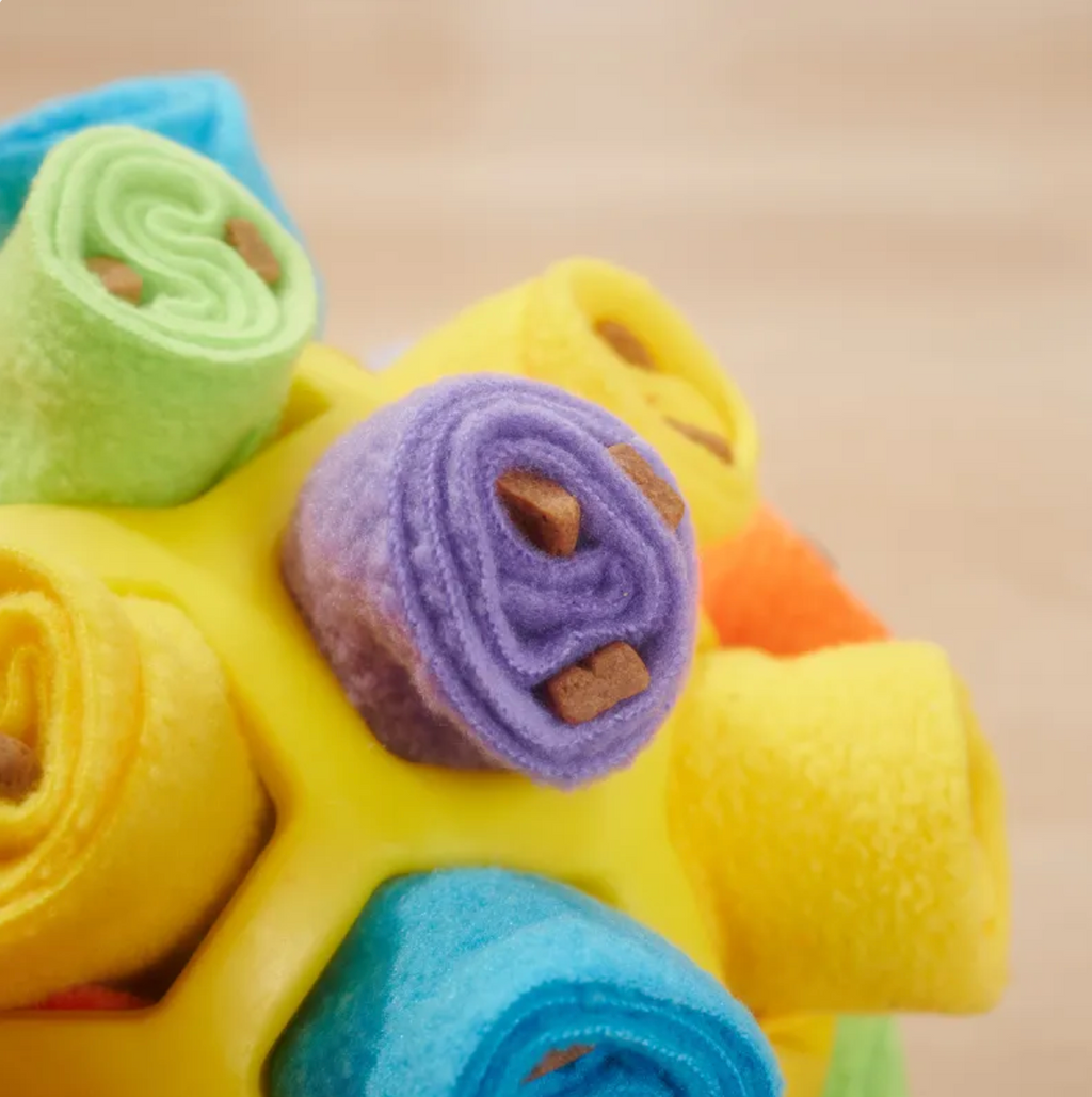 Pet Snuffle Puzzle Ball