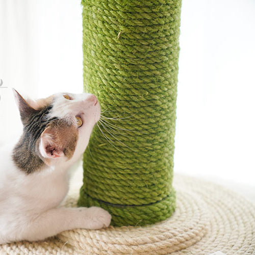 Colorful Jute Rope for DIY Crafts and Cat Toys (10m)