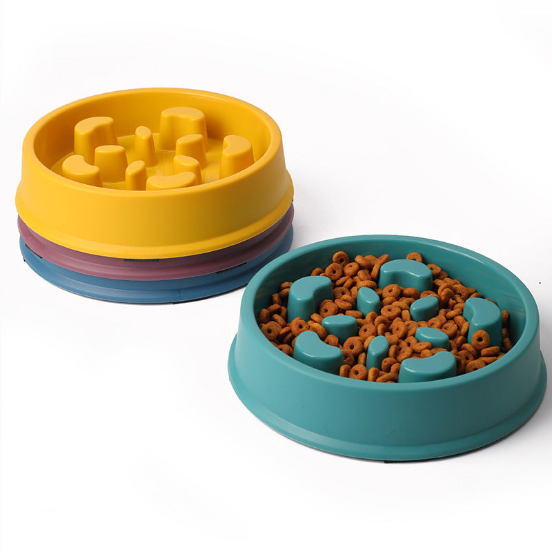 Colourful Slow-Feeding Pet Bowl